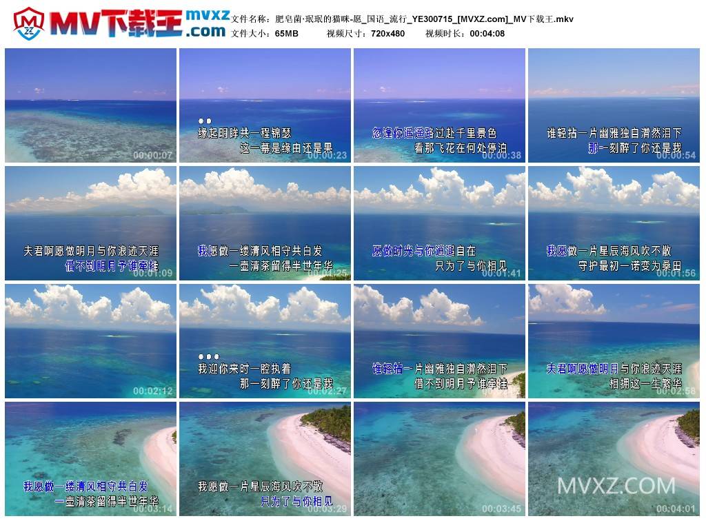 肥皂菌·珉珉的猫咪-愿_国语_流行_YE300715